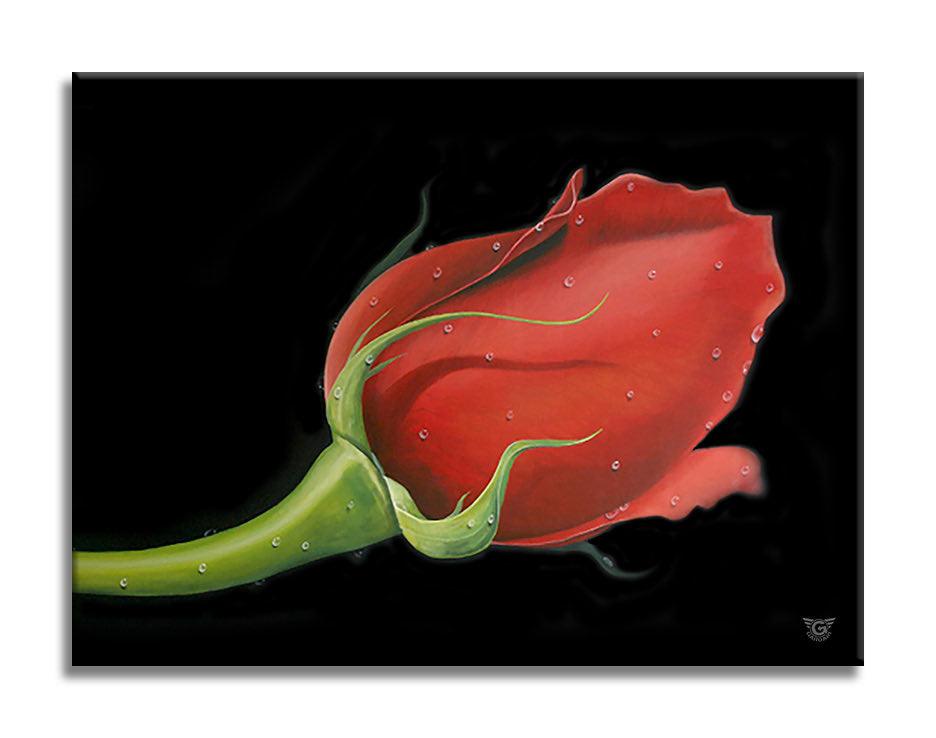 Red Rose - Original Painting on Canvas